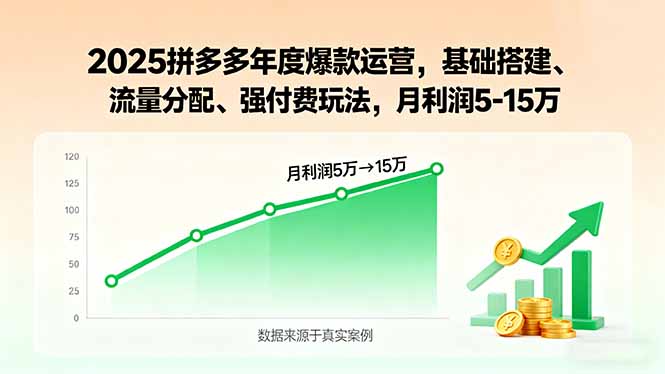 2025拼多多年度爆款运营，基础搭建、流量分配、强付费玩法，月利润5-15万-好项目
