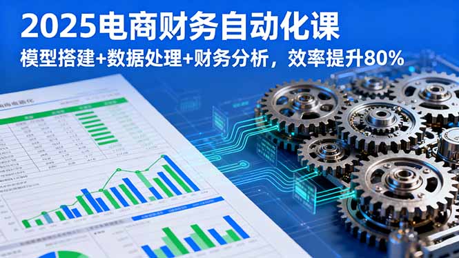 2025电商财务自动化课，模型搭建+数据处理+财务分析，效率提升80%-好项目